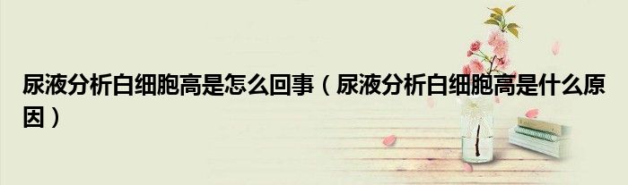尿液分析白細(xì)胞高是怎么回事（尿液分析白細(xì)胞高是什么原因）