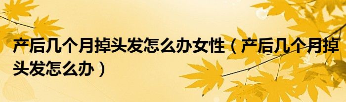 產(chǎn)后幾個(gè)月掉頭發(fā)怎么辦女性（產(chǎn)后幾個(gè)月掉頭發(fā)怎么辦）
