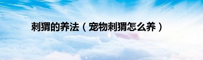 刺猬的養(yǎng)法（寵物刺猬怎么養(yǎng)）