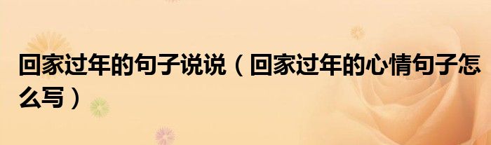 回家過年的句子說說（回家過年的心情句子怎么寫）