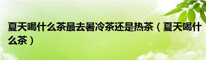夏天喝什么茶最去暑冷茶還是熱茶（夏天喝什么茶）