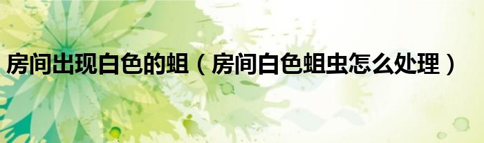房間出現(xiàn)白色的蛆（房間白色蛆蟲(chóng)怎么處理）