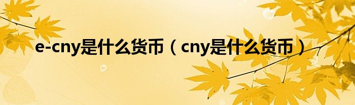 e-cny是什么貨幣（cny是什么貨幣）