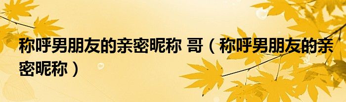 稱呼男朋友的親密昵稱 哥（稱呼男朋友的親密昵稱）