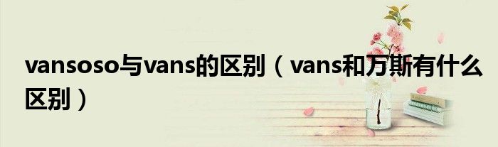 vansoso與vans的區(qū)別（vans和萬斯有什么區(qū)別）