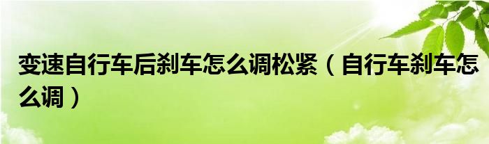 變速自行車后剎車怎么調(diào)松緊（自行車剎車怎么調(diào)）
