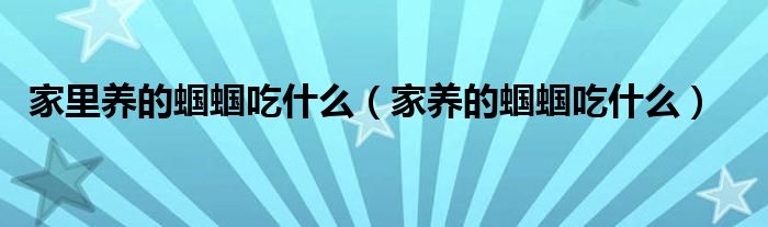 家里養(yǎng)的蟈蟈吃什么（家養(yǎng)的蟈蟈吃什么）