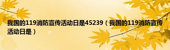 我國的119消防宣傳活動日是45239（我國的119消防宣傳活動日是）
