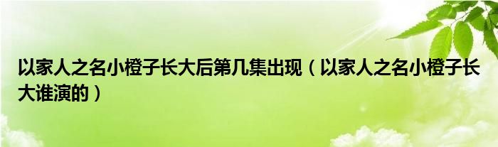以家人之名小橙子長大后第幾集出現(xiàn)（以家人之名小橙子長大誰演的）