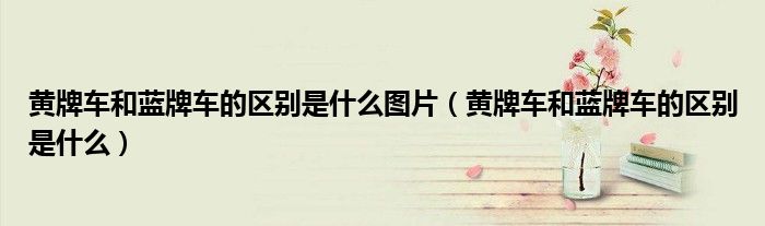 黃牌車和藍牌車的區(qū)別是什么圖片（黃牌車和藍牌車的區(qū)別是什么）