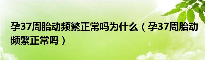 孕37周胎動(dòng)頻繁正常嗎為什么（孕37周胎動(dòng)頻繁正常嗎）