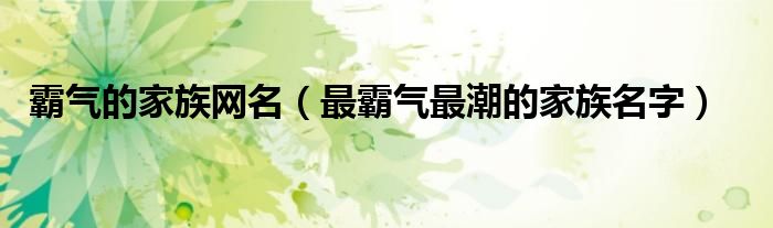 霸氣的家族網(wǎng)名（最霸氣最潮的家族名字）