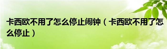 卡西歐不用了怎么停止鬧鐘（卡西歐不用了怎么停止）