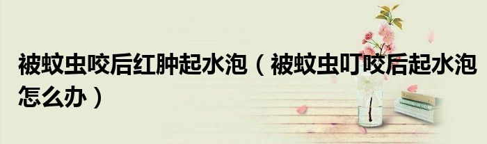 被蚊蟲(chóng)咬后紅腫起水泡（被蚊蟲(chóng)叮咬后起水泡怎么辦）