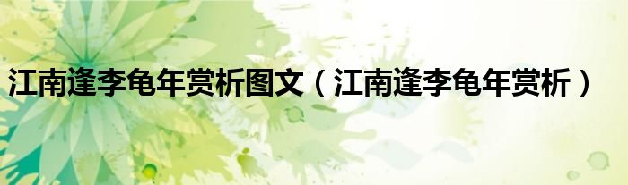 江南逢李龜年賞析圖文（江南逢李龜年賞析）
