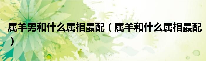 屬羊男和什么屬相最配（屬羊和什么屬相最配）