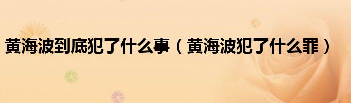 黃海波到底犯了什么事（黃海波犯了什么罪）