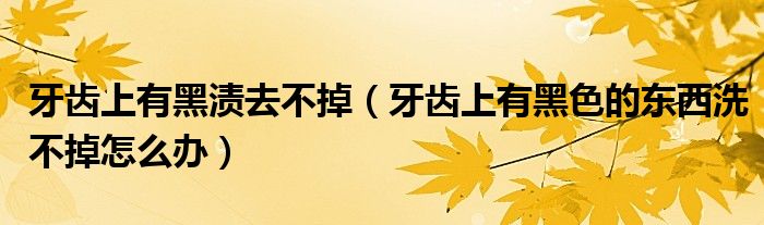 牙齒上有黑漬去不掉（牙齒上有黑色的東西洗不掉怎么辦）