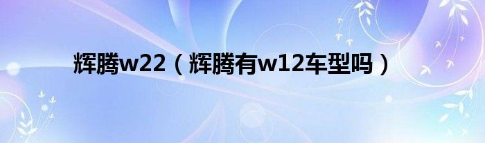 輝騰w22（輝騰有w12車型嗎）