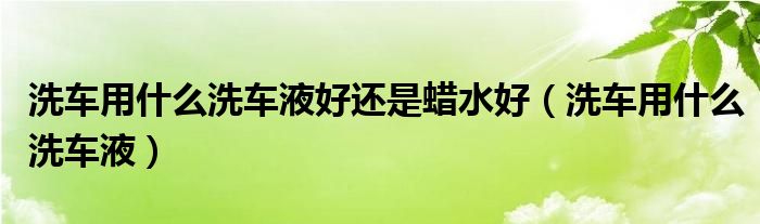 洗車(chē)用什么洗車(chē)液好還是蠟水好（洗車(chē)用什么洗車(chē)液）