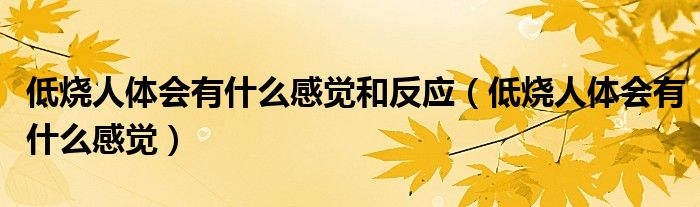 低燒人體會有什么感覺和反應(yīng)（低燒人體會有什么感覺）