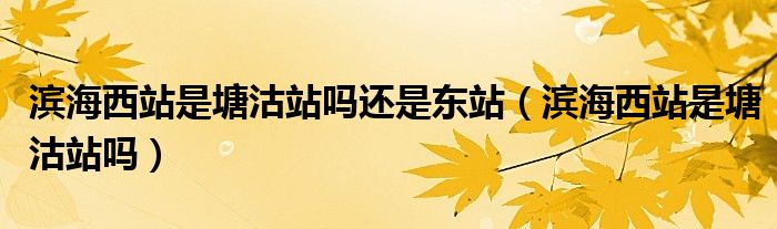 濱海西站是塘沽站嗎還是東站（濱海西站是塘沽站嗎）