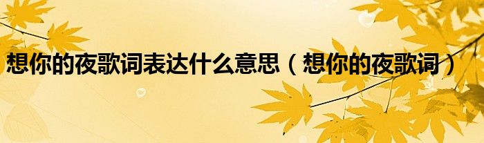 想你的夜歌詞表達什么意思（想你的夜歌詞）