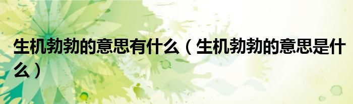 生機(jī)勃勃的意思有什么（生機(jī)勃勃的意思是什么）