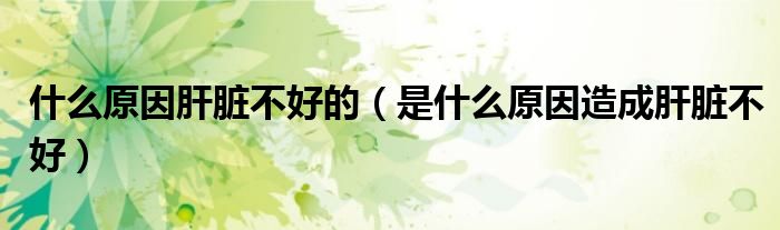 什么原因肝臟不好的（是什么原因造成肝臟不好）