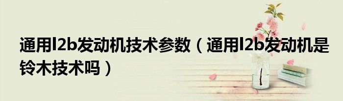 通用l2b發(fā)動機技術參數(shù)（通用l2b發(fā)動機是鈴木技術嗎）