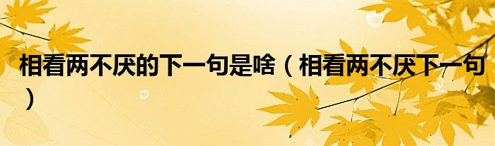 相看兩不厭的下一句是啥（相看兩不厭下一句）