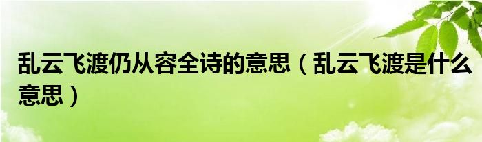 亂云飛渡仍從容全詩的意思（亂云飛渡是什么意思）