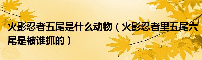 火影忍者五尾是什么動物（火影忍者里五尾六尾是被誰抓的）