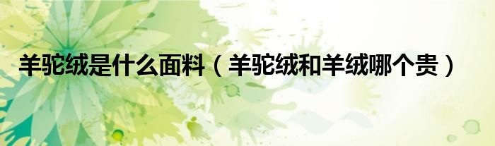 羊駝絨是什么面料（羊駝絨和羊絨哪個(gè)貴）