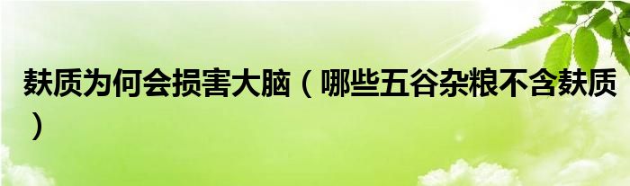 麩質(zhì)為何會(huì)損害大腦（哪些五谷雜糧不含麩質(zhì)）