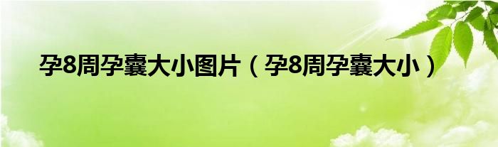 孕8周孕囊大小圖片（孕8周孕囊大?。? />
                                         </a>
                                    </div>
                                 <div   id=