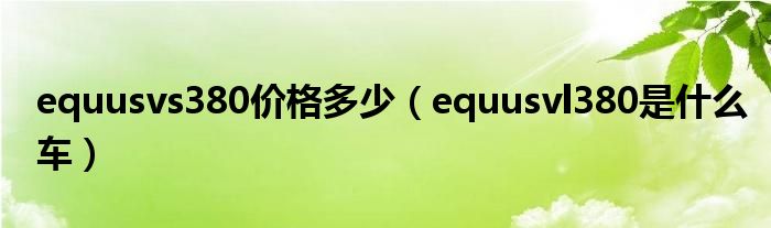 equusvs380價(jià)格多少（equusvl380是什么車(chē)）