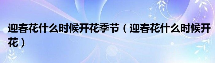 迎春花什么時(shí)候開花季節(jié)（迎春花什么時(shí)候開花）