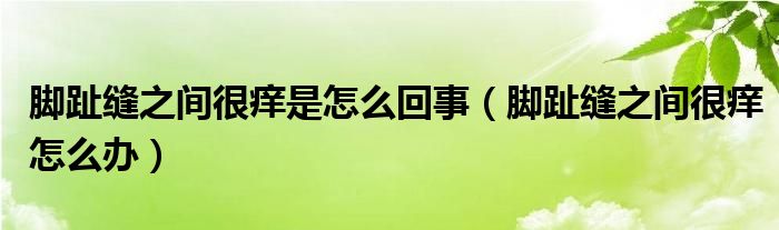 腳趾縫之間很癢是怎么回事（腳趾縫之間很癢怎么辦）
