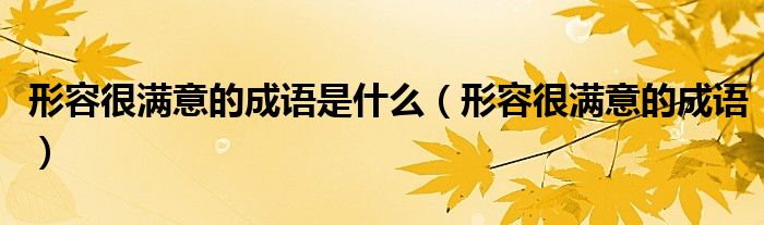 形容很滿意的成語(yǔ)是什么（形容很滿意的成語(yǔ)）