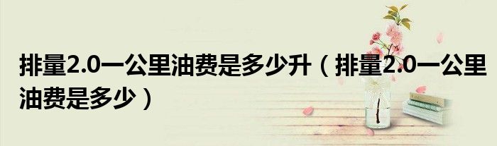 排量2.0一公里油費(fèi)是多少升（排量2.0一公里油費(fèi)是多少）
