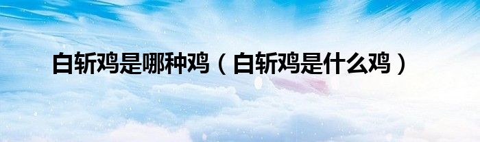 白斬雞是哪種雞（白斬雞是什么雞）