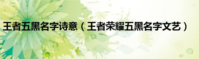 王者五黑名字詩意（王者榮耀五黑名字文藝）