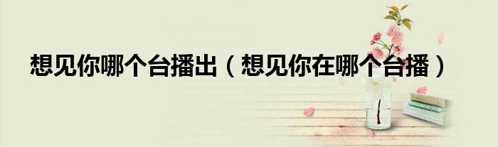 想見你哪個臺播出（想見你在哪個臺播）