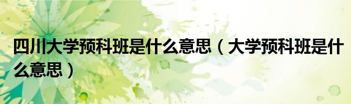 四川大學預科班是什么意思（大學預科班是什么意思）