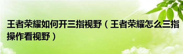 王者榮耀如何開(kāi)三指視野（王者榮耀怎么三指操作看視野）