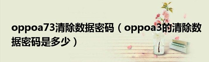 oppoa73清除數(shù)據(jù)密碼（oppoa3的清除數(shù)據(jù)密碼是多少）