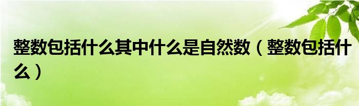 整數(shù)包括什么其中什么是自然數(shù)（整數(shù)包括什么）