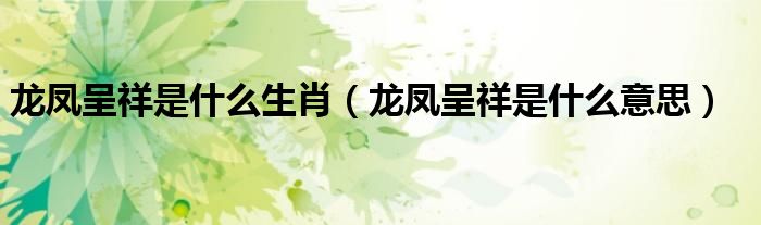 龍鳳呈祥是什么生肖（龍鳳呈祥是什么意思）