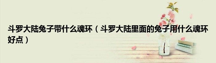 斗羅大陸兔子帶什么魂環(huán)（斗羅大陸里面的兔子用什么魂環(huán)好點）